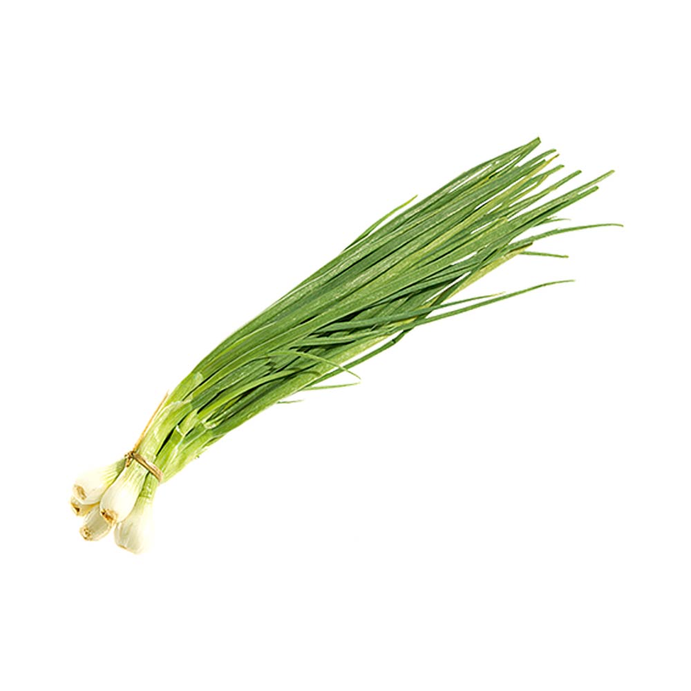 Cebolla China x atado