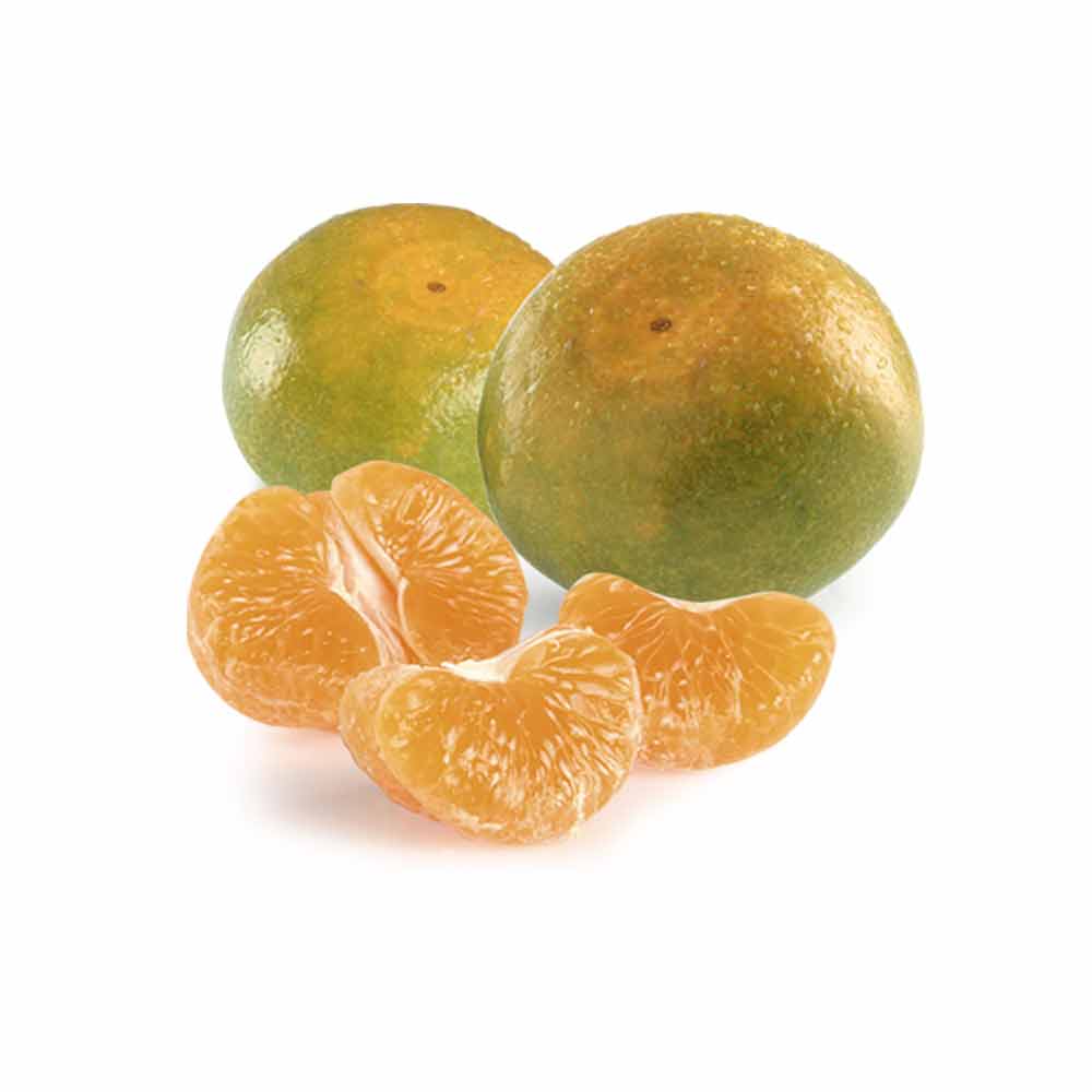 Mandarina sin Pepa Wong x kg