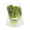 Lechuga-Crespa-Viva-x-Unid-1-76026