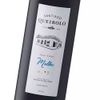 Vino-Santiago-Queirolo-Malbec-750-ml-2-6761