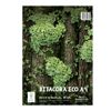 Bitacora-Vintage-Fine-A4-x90h-90gr-3-114079