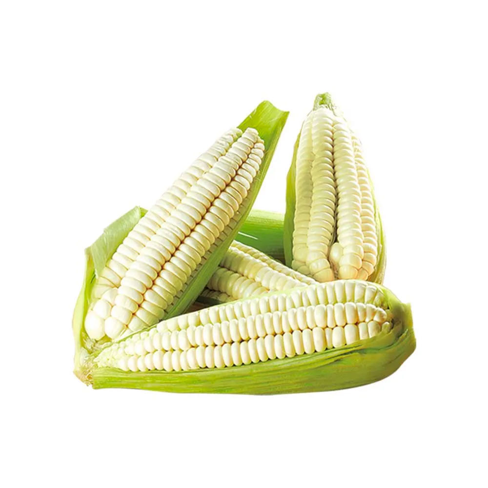 Choclo Imperial x unid