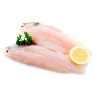 Filete de Lenguado x kg