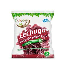 Lechuga-Hoja-de-Roble-Roja-Hidroponica-de-Invernadero-Ecologic-x-Unid-1-44544265