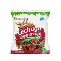 Lechuga Roja Hidropónica de Invernadero Ecologic x unid