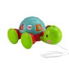 Fisher-Price-Tortuga-de-Aprendizaje-1-27371