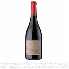 Vino-Tinto-Pinot-Noir-Escorihuela-Gascon-Botella-750-ml-1-8620
