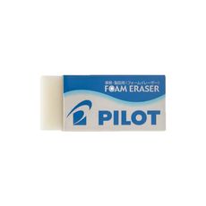 Borrador-Pilot-EF10-X1-1-26782795