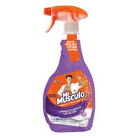 Limpia Vidrios Mr Músculo Lavanda Gatillo 500ml