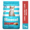 Ricocat-Alimento-para-Gatos-Adultos-Carne-Salm-n-y-Leche-Bolsa-1-Kg-1-34829223