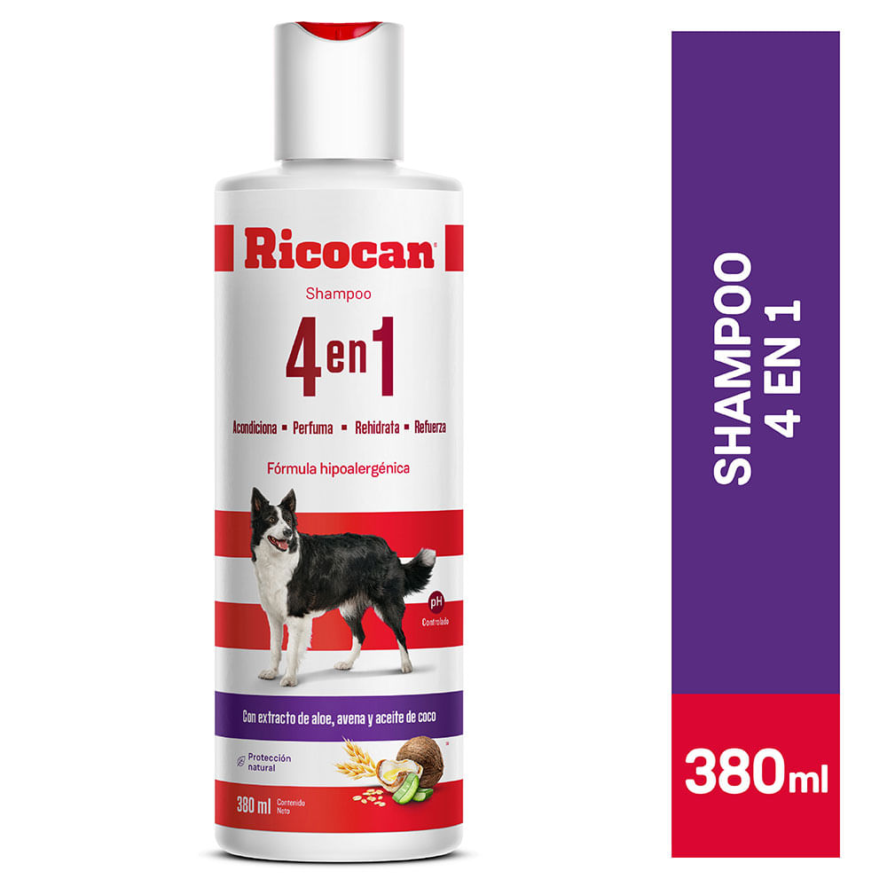 Shampoo RICOCAN Adulto 4 en 1 Frasco 380ml
