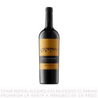Vino Tinto Cabernet Sauvignon Rutini Encuentro Botella 750ml
