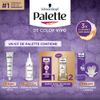 Tinte-Palette-Color-Creme-Violeta-Produndo-6-99-2-138465