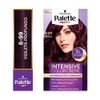 Tinte-Palette-Color-Creme-Violeta-Produndo-6-99-1-138465