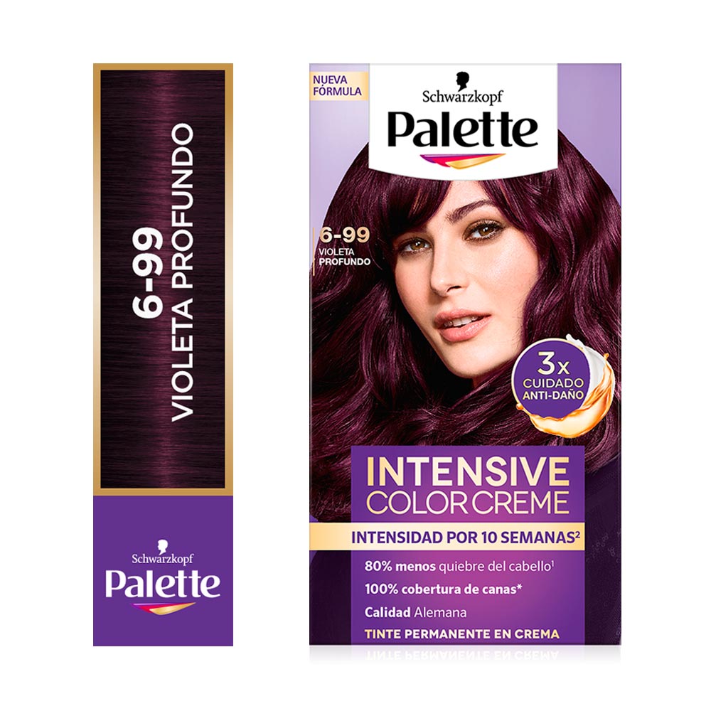 Tinte para Cabello Violeta Intensive Color Palette -