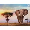 Clementoni-Rompecabezas-African-Sunset-500-Piezas-2-193377197