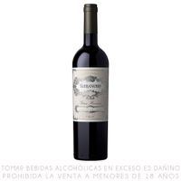 Vino Tinto Cabernet Sauvignon Gran Reserva Terranoble Botella 750ml