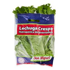Lechuga-Crespa-Hidrop-nica-de-Invernadero-Don-Miguel-x-Unid-1-120815