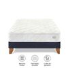 Para-so-Cama-Europea-Pocket-Max-2-Plazas-Azul-2-Almohadas-1-218501550