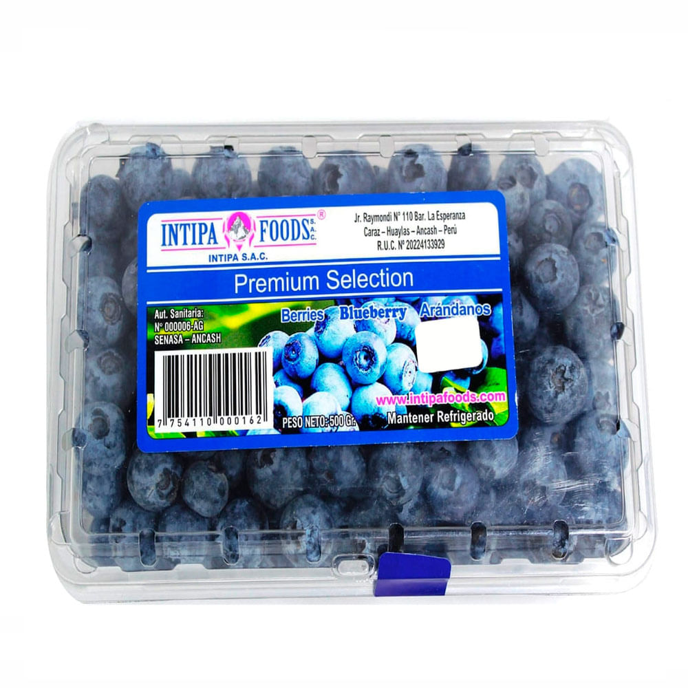 Arándano Blueberry 500 g