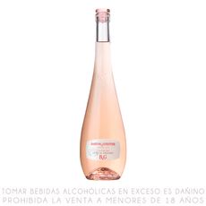 Vino-Tinto-B-G-Passeport-Coteprobvanc-Rose-Botella-750-ml-1-17192962