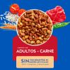 Alimento-para-Gatos-Adultos-Carne-Bolsa-1-Kg-2-77915