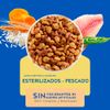 Alimento-para-Gatos-Esterilizados-Bolsa-3-kg-2-171681683