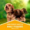 Alimento-para-Perros-Adultos-Tama-o-Peque-o-Mini-Bolsa-3-Kg-7-9735