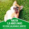 Alimento-para-Perros-Adultos-Tama-o-Mediano-Grande-Bolsa-3-Kg-3-1454