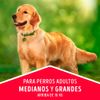 Alimento-para-Perros-Adultos-Tama-o-Mediano-Grande-Bolsa-3-Kg-7-1454