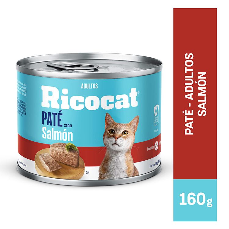 RICOCAT-PATE-SABOR-SALMON-160-GR-RCT-PATE-SAL160-GR-1-138483755