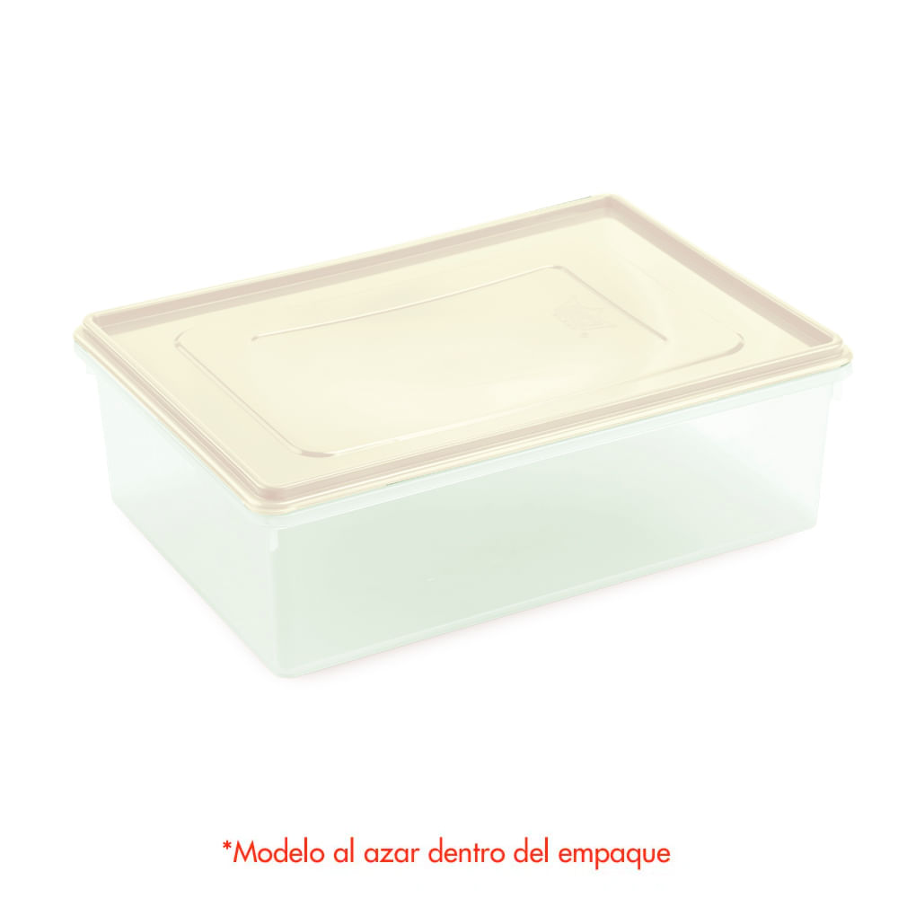 Caja Conservadora # 4