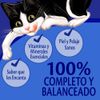 Felix-Alimento-H-medo-para-Gatos-Sensaciones-de-At-n-en-Salsa-Doypack-85-gr-3-1348