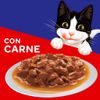 Felix-Alimento-H-medo-para-Gatos-Sensaciones-de-Carne-en-Salsa-Doypack-85-gr-2-1347