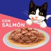 Felix-Alimento-H-medo-para-Gatos-Sensaciones-de-Salm-n-en-Salsa-Doypack-85-gr-2-1345