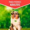 Dog-Chow-Trozos-Jugosos-Festival-de-Pollo-Adultos-Doypack-100-gr-7-30929