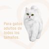 Fancy-Feast-Alimento-H-medo-para-Gatos-Tartar-de-Trucha-Lata-85-gr-3-15589068