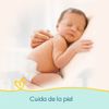 Pa-os-H-medos-Higiene-Completa-48-unid-PA-OS-PAMPERSX48-4-211656270