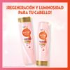 Shampoo-Col-geno-y-Vitamina-C-Regeneraci-n-y-Luminosidad-Sedal-Care-Frasco-340-ml-4-222220410