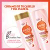 Shampoo-Col-geno-y-Vitamina-C-Regeneraci-n-y-Luminosidad-Sedal-Care-Frasco-340-ml-7-222220410