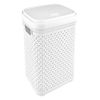 CAJA-PLASTICA-SIMIL-RATTAN-20LT-BLANCO-2-274211930