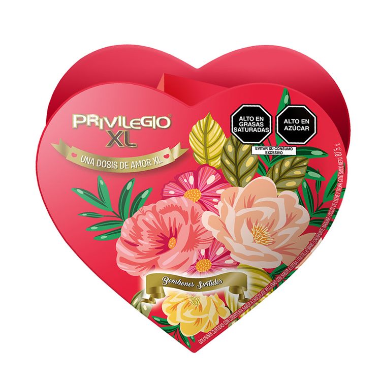 Bombones-con-Rellenos-Surtidos-Privilegio-XL-87-5g-Surtido-1-205561344