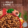 Alimento-para-Perros-Cachorros-Purina-One-Pollo-y-Carne-2kg-3-249468043