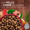 Alimento-para-Perros-Medianos-y-Grandes-Purina-One-Pollo-y-Carne-2kg-3-249468048