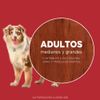 Alimento-para-Perros-Medianos-y-Grandes-Purina-One-Pollo-y-Carne-2kg-7-249468048