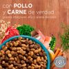 Alimento-para-Gatitos-Purina-One-Pollo-y-Carne-500g-3-249468052