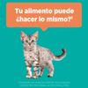 Alimento-para-Gatitos-Purina-One-Pollo-y-Carne-500g-6-249468052