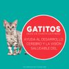 Alimento-para-Gatitos-Purina-One-Pollo-y-Carne-500g-7-249468052