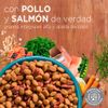 Alimento-para-Gatos-Purina-One-Pollo-y-Salm-n-500g-3-249468053