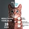 Alimento-para-Gatos-Esterilizados-Purina-One-Pollo-y-Salm-n-2kg-2-249468055